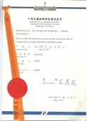 在先申请文件
